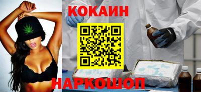 шишки Изобильный