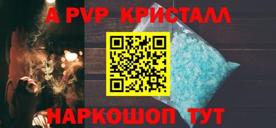 шишки Изобильный