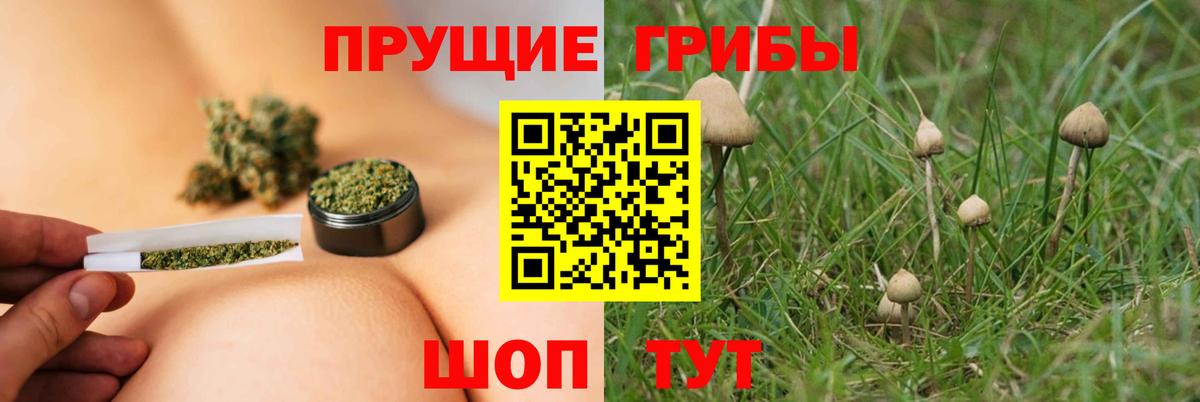 Галлюциногенные грибы GOLDEN TEACHER Лениногорск