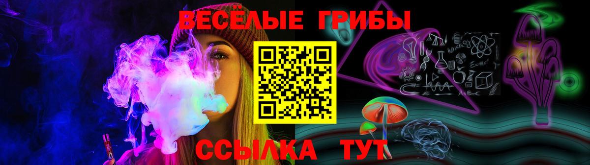 Лениногорск  Галлюциногенные грибы прущие грибы  Вход с VPN 